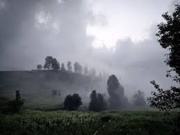 Tinctures from the Veil